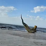 Currila Durres